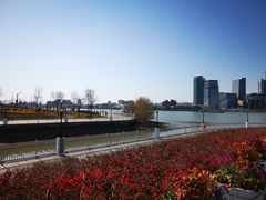 -上海山野camping·户外天幕烧烤·团建拓展营地