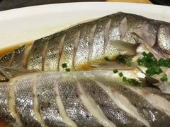 -青叶202都市餐厅(迪诺水镇店)