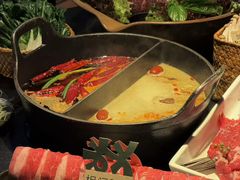 -大龙燚·旷野鲜火锅(广州首店)