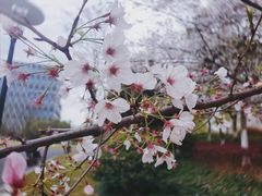 -杭州城北体育公园