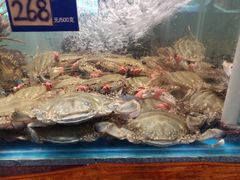 -金海湾海鲜总店