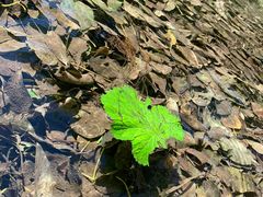 -玉渡山自然风景区