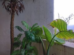 -重庆平顶山公园