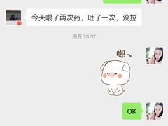 -波姐宠物家庭寄养
