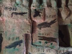 iphone_upload_pic-中国扬子鳄村
