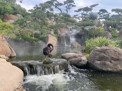 -罗红摄影艺术馆