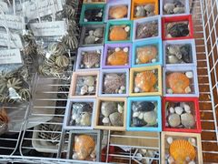 -蓝湾碧波·老字号·疍家非遗海上餐厅