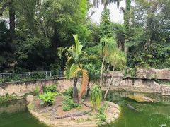 -深圳野生动物园