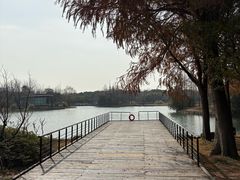 -尚贤河湿地