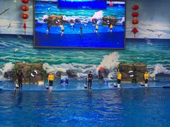 -多彩贵州城极地海洋世界