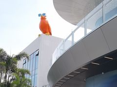 -招商花园城