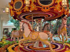 -拉斯维加斯永利酒店