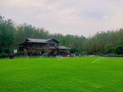 -合肥滨湖国家森林公园