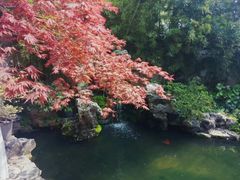 -上海醉白池公园