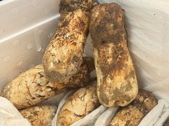 -鳥喜Toriki怀石烧鸟料理