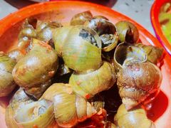 -鹤江桥·红油牛肉粉(SKP店)