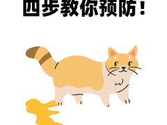 -爱侣·安琦尔宠物医院·中兽医针灸·心内科·狂犬免疫点(宝山区院)