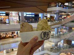 -野人先生现做冰淇淋(北京环宇荟店)