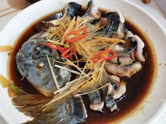 -煲来饱去冷水鱼