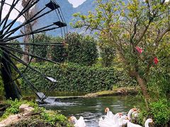 -靖西鹅泉风景区