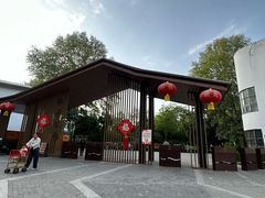 -洛阳市牡丹公园