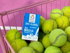 -宝安区体育中心体育馆