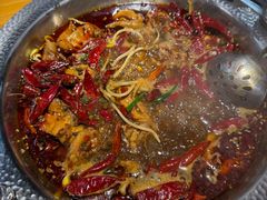 -成老灶火锅鸡·自选烧烤(汇君城店)
