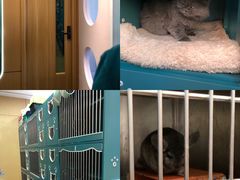 -pd派德宠物中心医院24H急重症·眼科中心·血液透析中心(嵩山北路店)