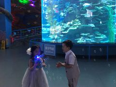 -泉城欧乐堡海洋极地世界