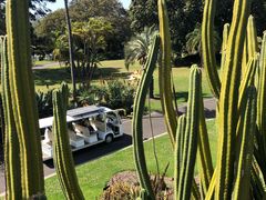 -墨尔本皇家植物园
