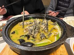 石锅黄辣丁-川知味(京华城店)