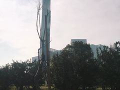 -涩谷区