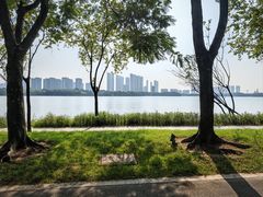 -顺峰山公园