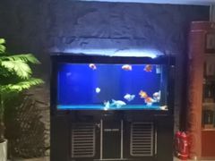-裕丰源滋补烩面(天赋路店)