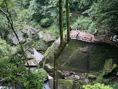 -中国大熊猫保护研究中心雅安碧峰峡基地