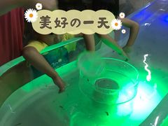 -上海大自然野生昆虫馆(东方明珠·爬宠昆虫探索中心)