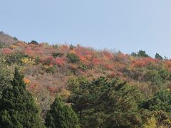 -北京十三陵国家森林公园蟒山景区