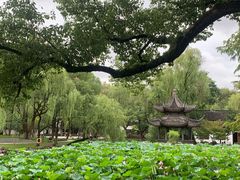 -墅园