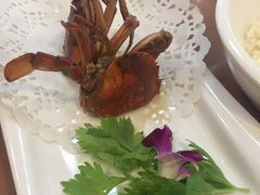 -友强·23年特色海鲜大排档(厦门店)