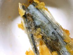 -鸿渡渔庄·特色鸭咀鱼