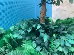 -广州融创水世界