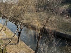 -合肥三国新城遗址公园