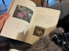 -Me Coffee下午茶艺术空间