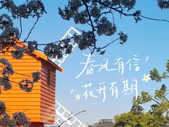 -苏州上方山国家森林公园