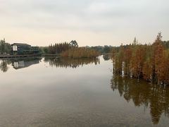 -白鹭湾湿地公园