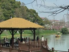 -圩墩遗址公园