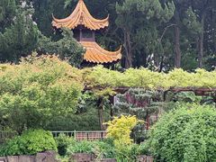 -嘉定紫藤园