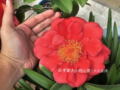 -上海植物园-4号门售票处