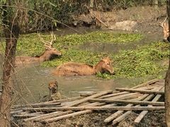 iphone_upload_pic-溱湖国家湿地公园