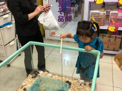 -钓仓鼠(洋桥北里小区店)